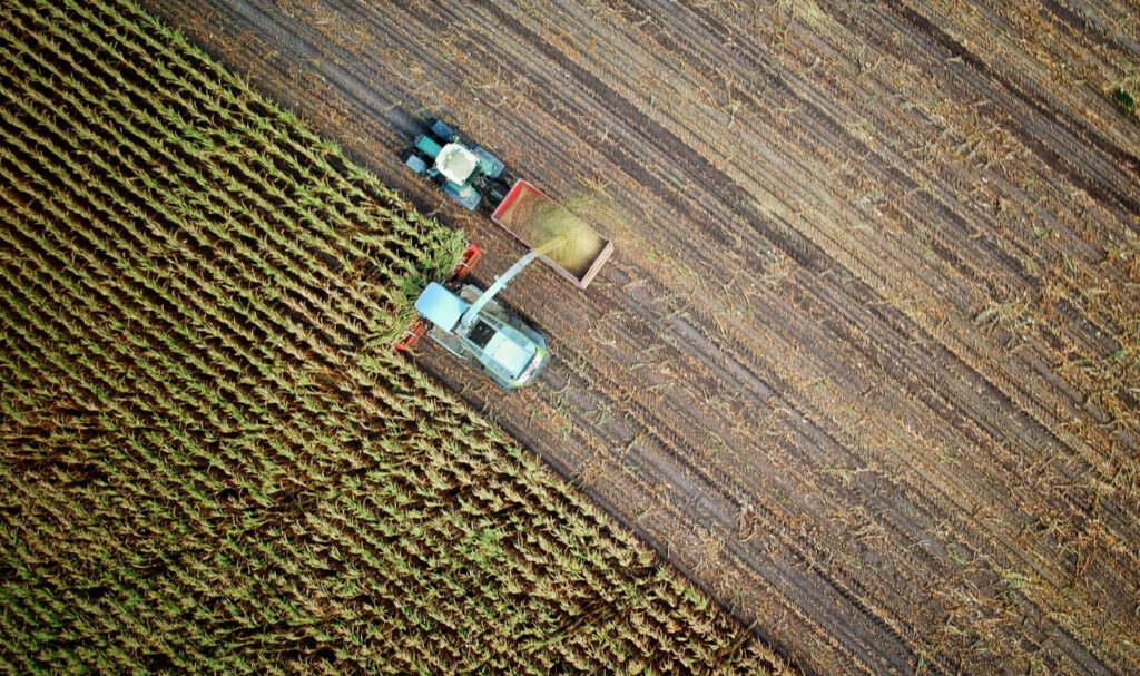 Tractor Combine plowing corn field.